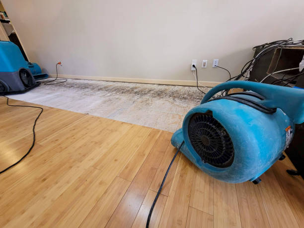 Professional Flood Damage Cleanup technician working in Kimberly, ID